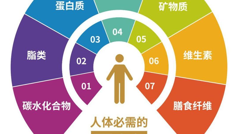 关键参数规格解析：功效成分、NRV%与生物利用度